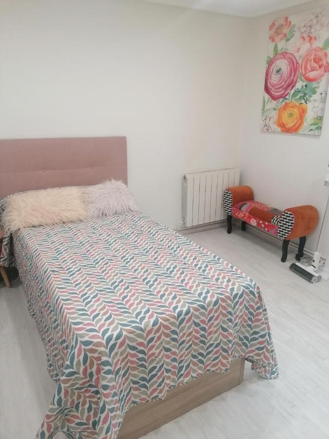 Piso Deluxe En El Centro Con Ascensor Apartment Castro Urdiales Ngoại thất bức ảnh